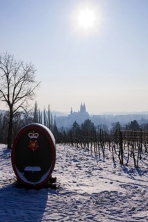 View of Meissen from the Proschwitz Winery