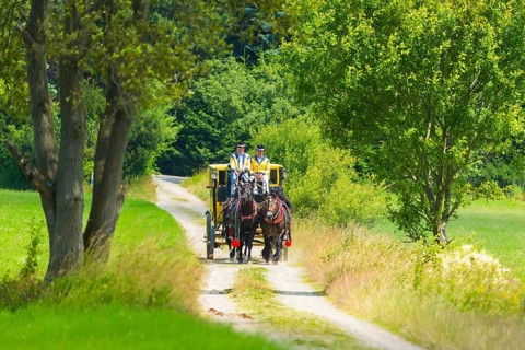 8th stagecoach meeting in Grillenburg