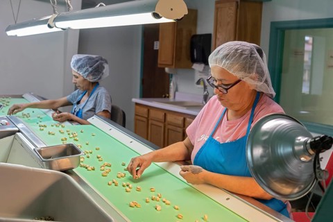 Alamogordo, New Mexico, Eagle Ranch, where Heart of the Desert pistachios are grown. Workers in the
