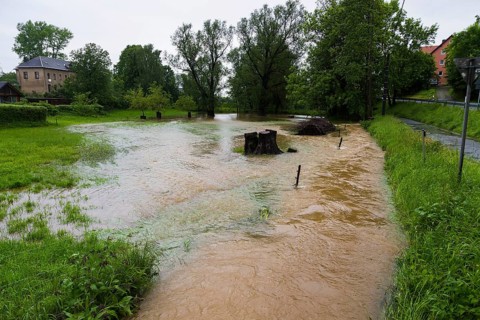 Village stream in Reinhalodshain