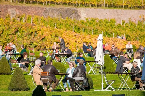 Schloss Wackerbarth or Wackerbarths Ruh' is a baroque castle surrounded by vineyards in the