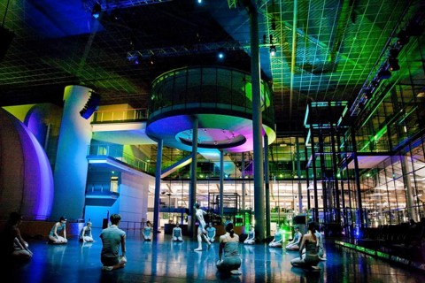 Silent Spring in the VW Transparent Factory