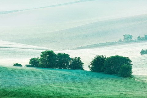 Rolling landscape of green fields in South Moravia, Czech Republic in early morning