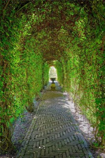 Green berceau arbour trellis overgrown garden path arcade arch way in Keukenhof garden. Lisse,