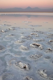 Atacama salt lake, Altiplano, Licancabur volcano, Chile, South America