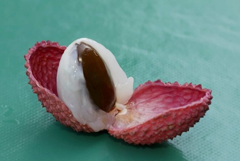 Lychee (Litchi chinensis) fruit