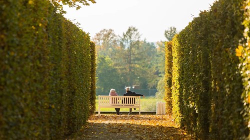 The former summer residence of the Saxon royal family is the largest chinoise palace complex in