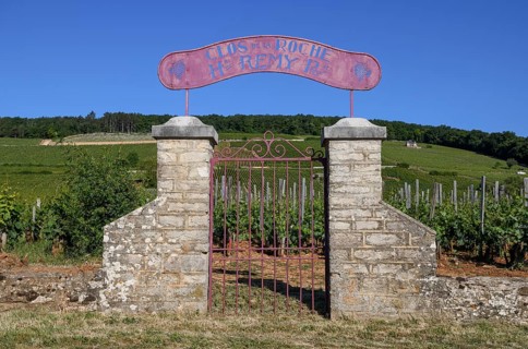 Stone gate at the vineyard of the Clos de la Roche winery, Route des Grand-Crus, Route of Fine