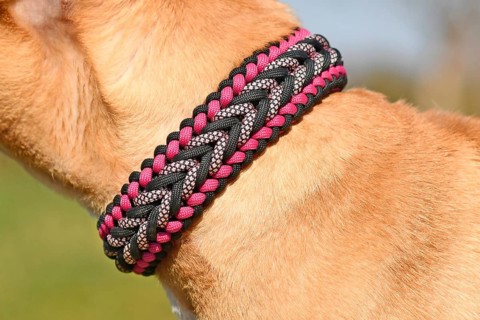 Close up of handmade woven dog collar made from paracord material on neck of red dog