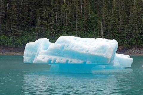 Small piece of ice from a glacier calving into the sea, Tracy Arm Fiord, Tongass National Forest,