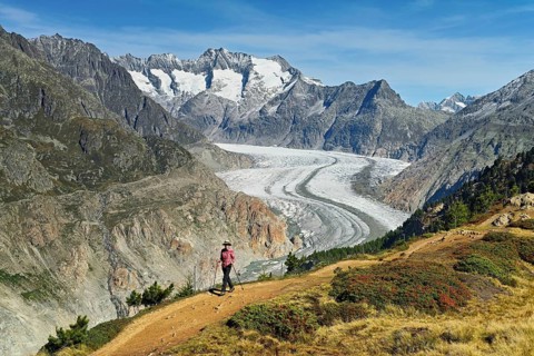 Hiker in front of the Great Aletsch Glacier, the heart of the Jungfrau-Aletsch-Bietschhorn UNESCO