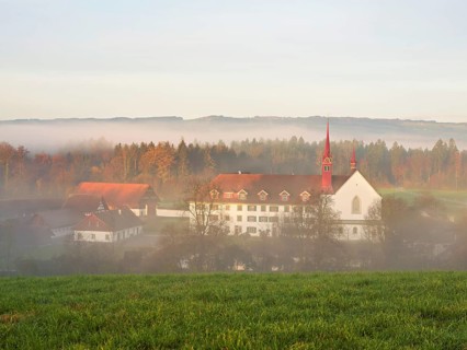 Morning atmosphere, Frauenthal Monastery in the fog, Hagendorn, Canton Zug, Switzerland, Europe