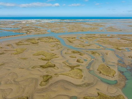 Network of channels and streams at low tide, in the marshland of the Bahía de Cádiz, in the