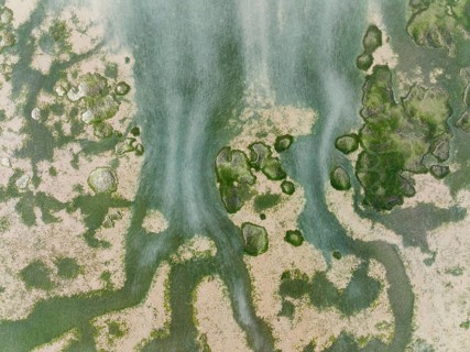 Network of channels and streams at low tide at their confluence with a larger body of water, in the