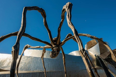 Guggenheim Museum Bilbao, Architect Frank O. Gehry, Sculpture Maman by Louise Bourgeois, Bilbao,