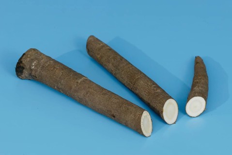 Black Salsify (Scorzonera hispanica), roots, Schwarzwurzel, Wurzeln, Gemuese, vegetable,