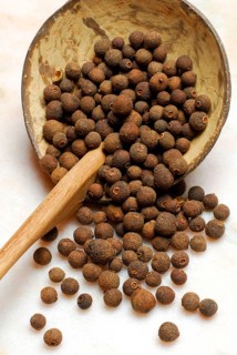 Allspice (Pimenta dioica officinalis) clove pepper, Jamaica pepper, new spice, four spice, koerner