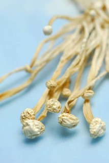 Enoki mushrooms (Flammulina velutipes) dried, Golden needle mushroom