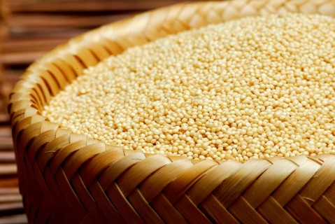 Amaranth (Amaranthus) in a bowl