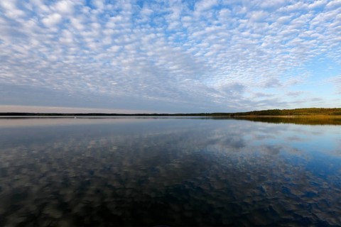 Cloud formation with reflection in the water over a lake in Mecklenburg, Müritz National Park,