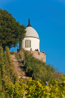 Schloss Wackerbarth or Wackerbarths Ruh' is a baroque castle surrounded by vineyards in the