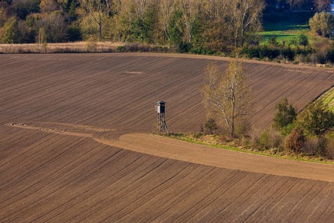 Fields near Diesbar Seußlitz