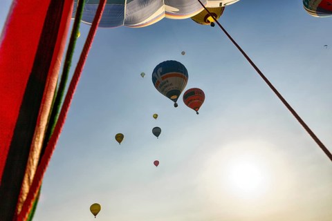 Countless hot air balloons take to the skies, view from below, mass launch, Hot Air Balloon