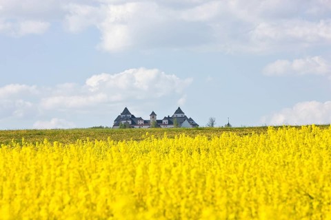 Augustusburg is a town in the centre of Saxony in Germany. The town is known for its Augustusburg