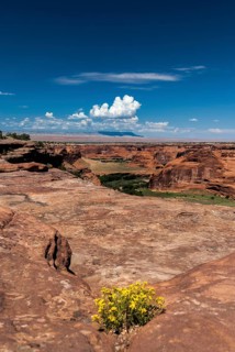 Chelly Canyon National Park, Arizona, USA, North America