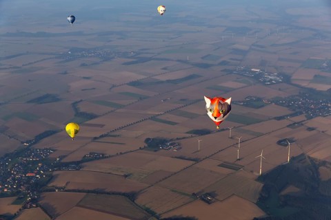 Hot-air balloons in the evening haze, advertising, view of villages, fields and wind turbine,