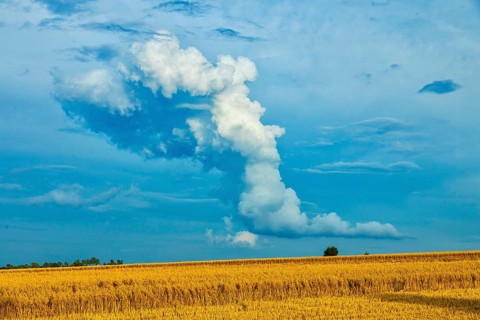 Harvested grain forest in the Ore Mountains near Oederan with a spectacular (cumulus) cloud