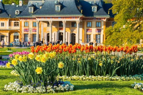Pillnitz Palace & Park