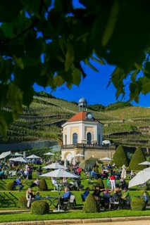 Winery Wackerbarth Castle
