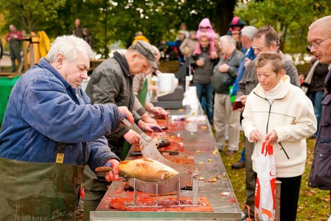 Fishing in Hermsdorf