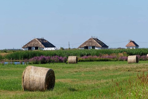 Puszta and steppe landscape in Hortobagy National Park, Hortobagy Nemzeti Park, UNESCO Biosphere