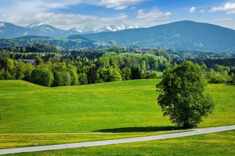 Road in pastoral idyllic german countryside with Bavarian Alps in background on beautiful summer