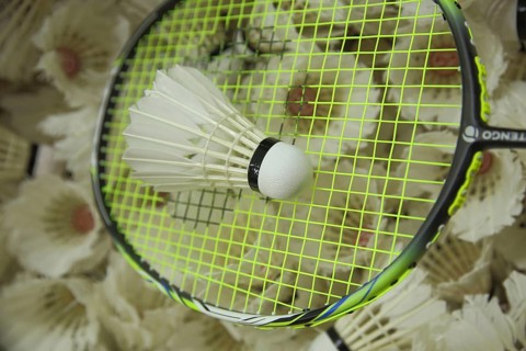 Badminton racket with shuttlecocks, pile, amount, number, much, sport, badminton, game ball, sports