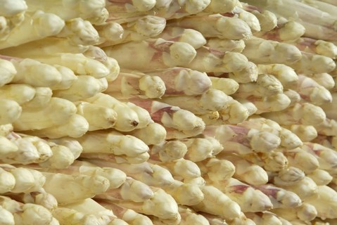 Asparagus (Asparagus officinalis), white