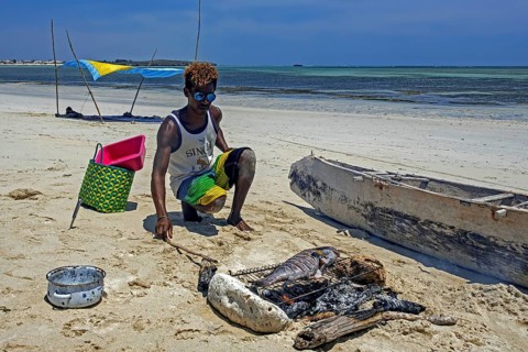 Malagasy man cooking freshly caught fish on grill over charcoal fire on sandy beach at Andavadoaka