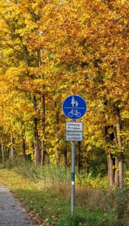 Autumn time, federal road B 96 to Schildow, Berlin, Germany, Europe