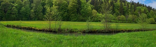 Franconian spring landscape with the river Wiesent, Doos, Upper Franconia, Bavaria, Germany, Europe