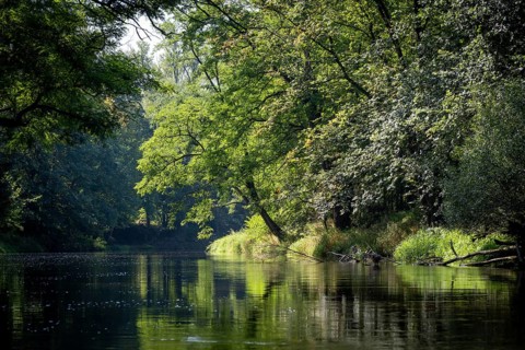 River landscape of the Thaya in late summer, Czech Republic, Europe