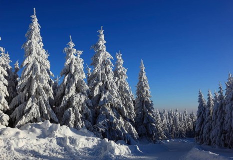 Winter landscape in the Fichtelgebirge, Bayreuth district, Upper Franconia, Bavaria, Germany,
