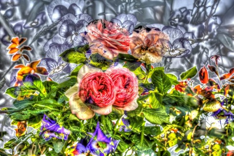 Oil painting, rose (Rosa), pink flowers, flowers creative, different plants mixed, violet (Viola),