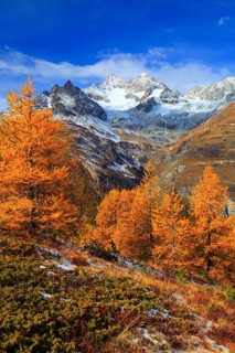 Obergabelhorn, 4063 m, Valais Alps, Valais, Switzerland, Europe