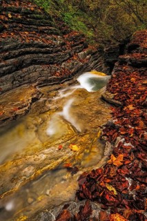 Autumn atmosphere at the Kolomanbach, Seewaldsee nature reserve, ST. Koloman, ÔøOstereich
