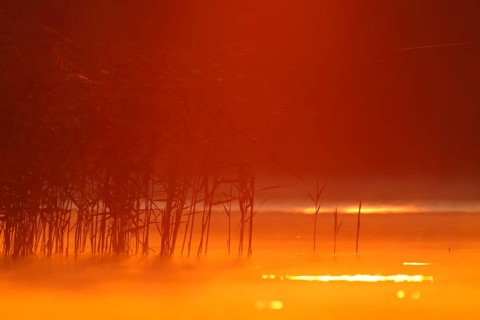 Sunrise over a lake in Mecklenburg, Müritz National Park, Mecklenburg-Vorpommern, Germany, Europe