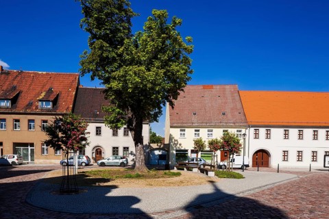 Belgern