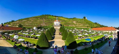 Wackerbarth Castle or Wackerbarths Ruh is a Baroque castle surrounded by vineyards in the
