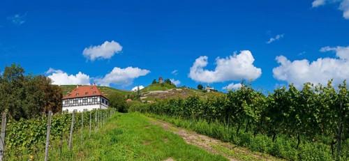 Hoflößnitz Winery in Radebeul